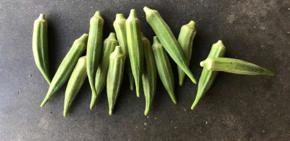 Misunderstood Vegetables: Summer