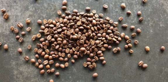 The What’s What On Coffee