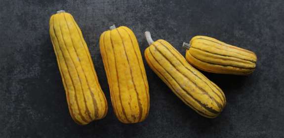 Winter Squash