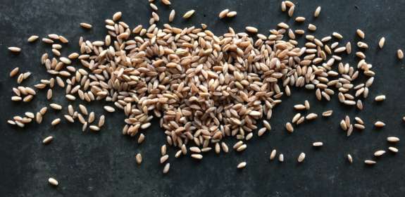 Cooking with Grains