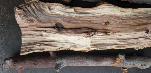 Field Trip: Wood-Fired Cooking at Carnation Farms