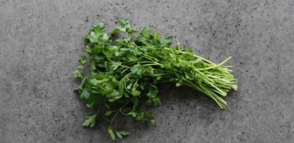 The Edible Backyard Garden